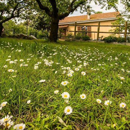 B&B La Farnia Casciana Terme Luaran gambar