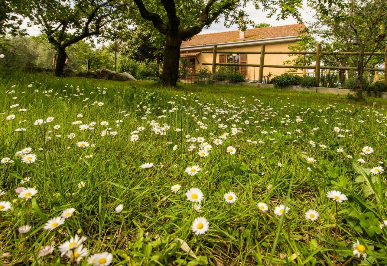B&B La Farnia Casciana Terme Luaran gambar